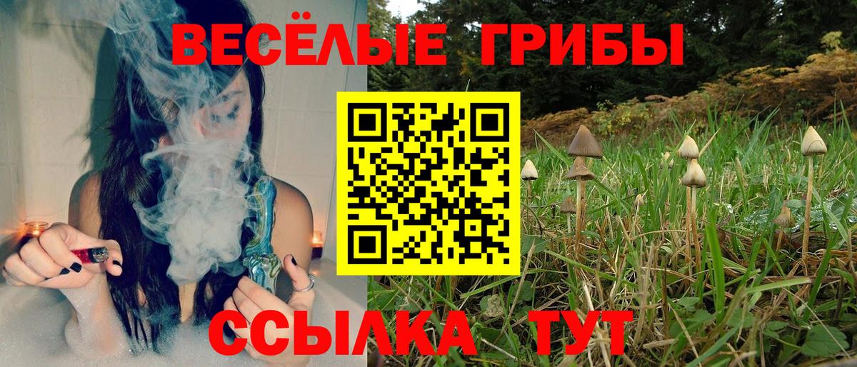 Шарыпово  Галлюциногенные грибы мухоморы  Вход с VPN 